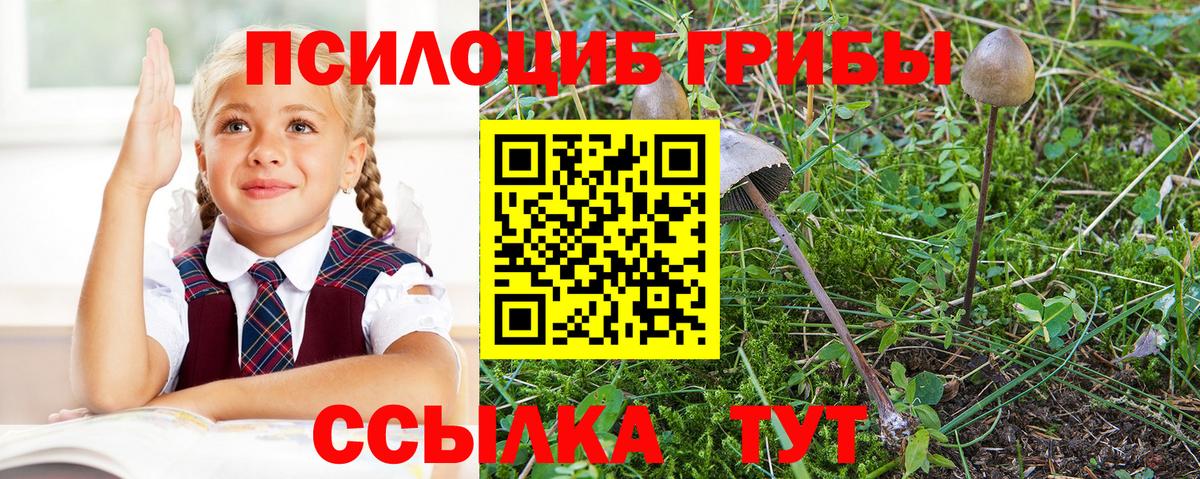 Галлюциногенные грибы мицелий  Вход с VPN  Красногорск 