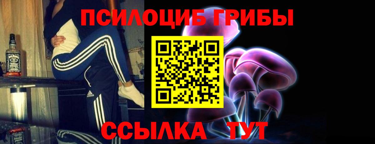 Галлюциногенные грибы Cubensis Красногорск